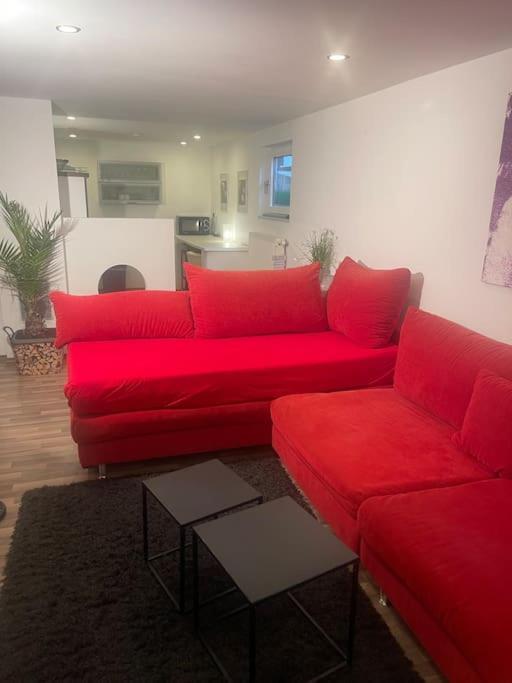 Gemuetliches Einliegerapartment, 50 Qm Trippstadt Εξωτερικό φωτογραφία